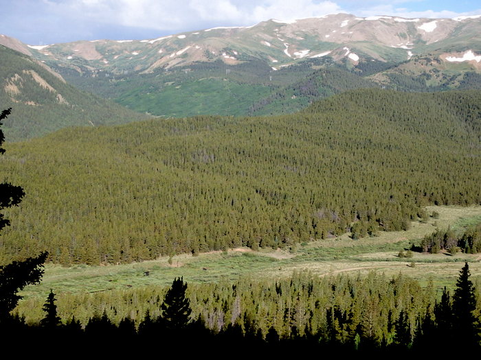 GDMBR: An early morning view south into Tarryall Creek Valley.